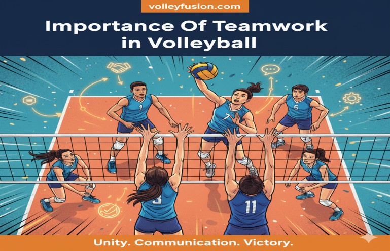 Importance Of Teamwork in Volleyball